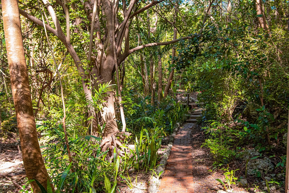 Sugar Cane Club Hotel And Spa
