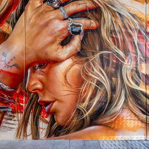 Hotel Art Series Perth The Adnate cazare Perth