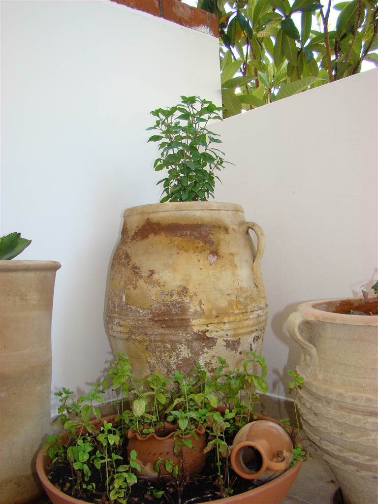 Hotel Diamond Apts & Suites