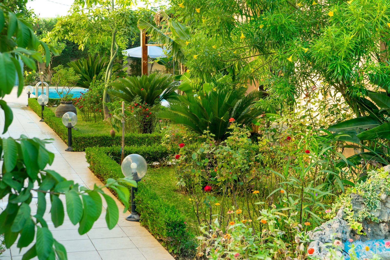 Hotel Golden Rose Suites