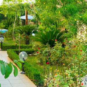 Sejur Golden Rose Suites vacanta Dimos Platanias