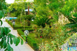 Hotel Golden Rose Suites cazare Dimos Platanias
