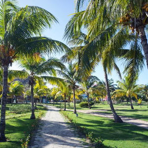 Sejur Royalton Hicacos Resort And Spa vacanta Varadero