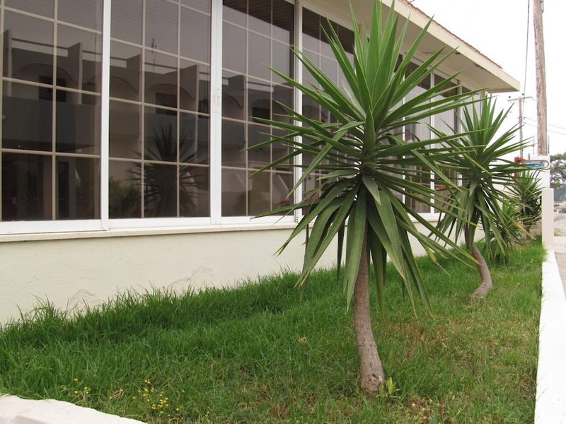 dal travel Saint Amon Hotel