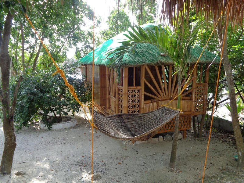 Hotel Sea Turtle House