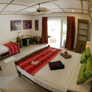 Hotel Dolphin House cazare Moalboal