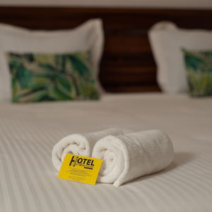 Hotel Hotel Le Pousse Pousse cazare Antananarivo