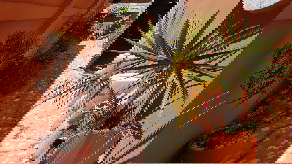 Hotel Villa Espoir : Chambre D'Hôtes Durable Et Tourisme Solidaire