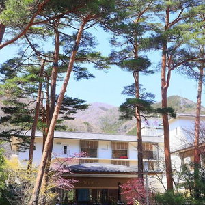 Hotel Kinugawa Onsen Hana No Yado Matsuya Ryokan cazare Nikko