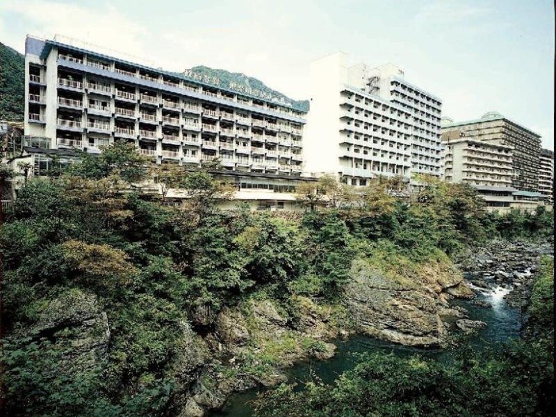 Hotel Kinugawa Onsen Hotel
