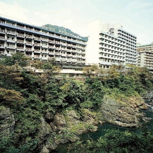 Hotel Kinugawa Onsen Hotel cazare Nikko