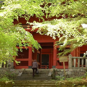 Hotel Nikko Pension L'escale cazare Nikko