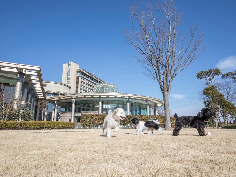 Hilton Odawara Resort & Spa