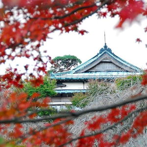Hotel Mikawaya Ryokan cazare Hakone