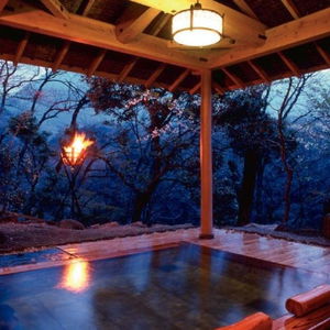 Hotel Musashino Bekkan cazare Hakone