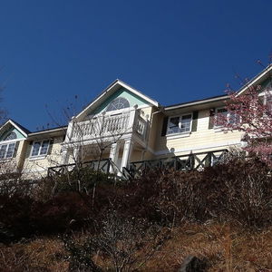 Hotel Liberty Hill cazare Ito