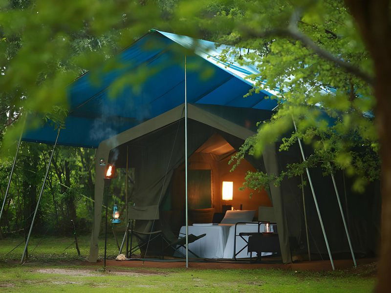 Hotel Big Game Camp Wilpattu