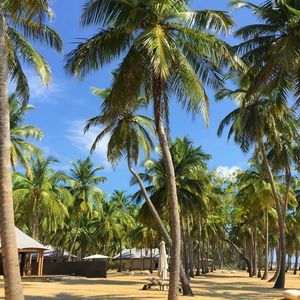 Hotel Karpaha Sands cazare Kalkudah