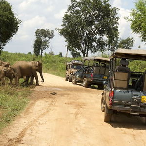 Hotel Mahoora Udawalawe By Eco Team cazare Udawalawa