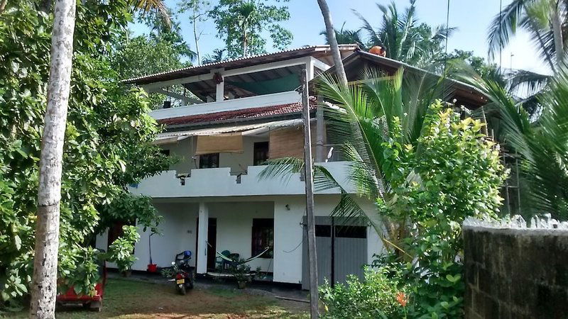 Hotel Jungleside House