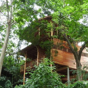 Sejur Riverside Cabana vacanta Tissamaharama