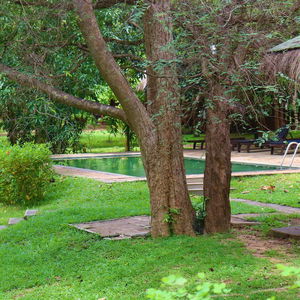 Hotel The Other Corner cazare Habarana