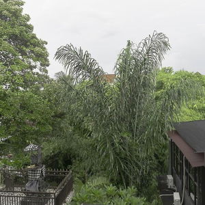 Hotel The Paica cazare Kerobokan