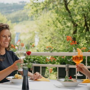 Hotel Gasthof Luger cazare Upper Austria