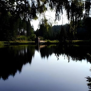 Hotel Angerhof cazare Dorfstetten