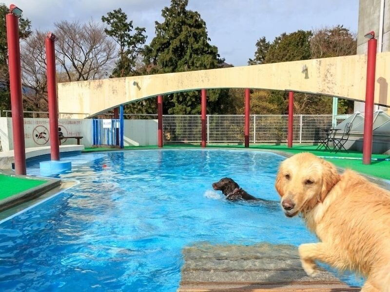 Hotel Izumigo Izukogen Dog Paradise Hotel