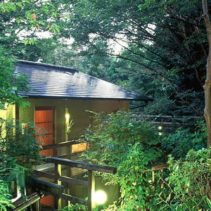 Hotel Izukogen Hanafubuki Ryokan cazare Ito