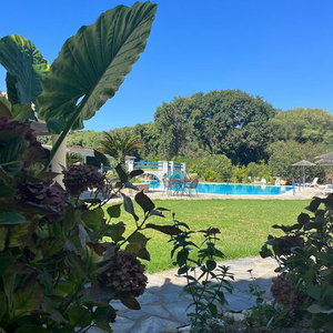Hotel Karavostasi Beach Hotel cazare Perdika