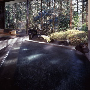 Hotel Seikoen cazare Nikko