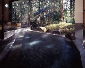Hotel Seikoen cazare Nikko