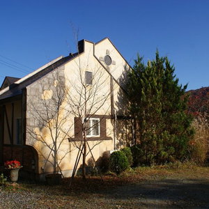 Hotel Pension Gasthof Ami cazare Nikko