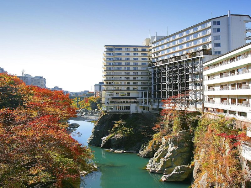 Hotel Kinugawa Plaza Hotel