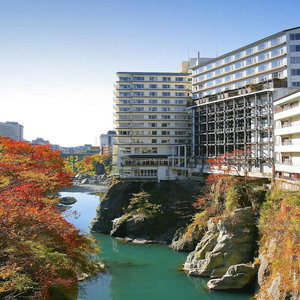 Hotel Kinugawa Plaza Hotel cazare Nikko