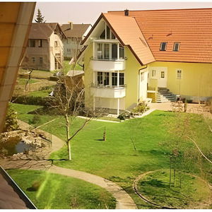 Hotel Löwen cazare Rust