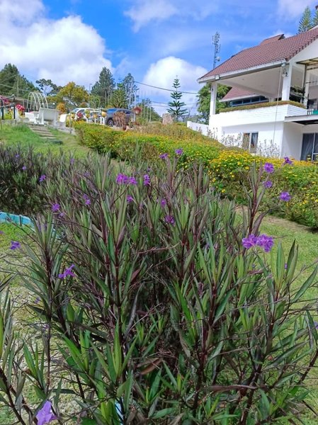 Hotel Dear Dino Villa Cameron Highlands