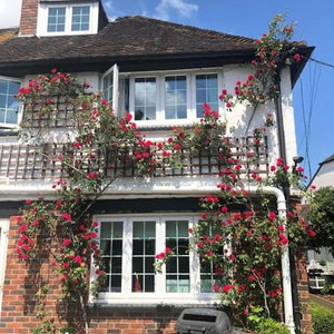 Hotel Hazelwick cazare Horley