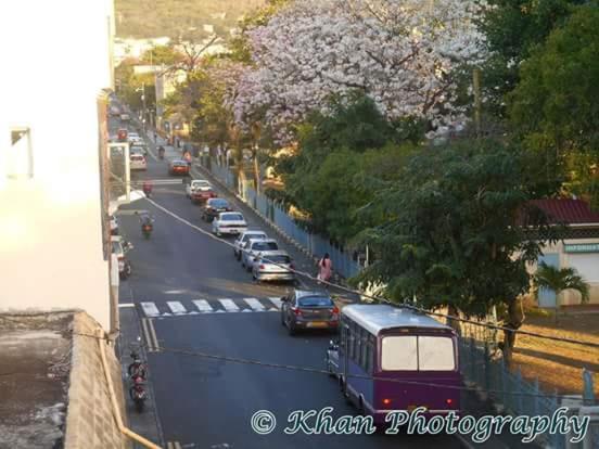 La Plaine Verte Guest House