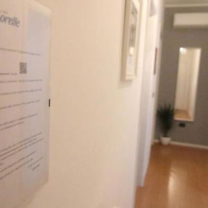 Hotel 7 Sorelle B&B cazare Cosenza