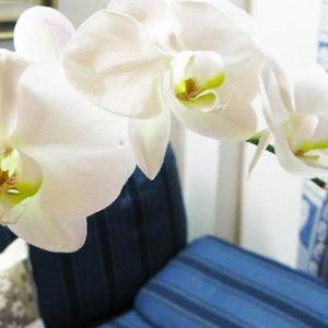 Hotel Hotel Bucaneve cazare Pre Saint Didier