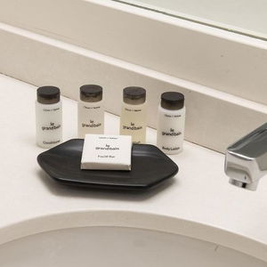 Hotel Sheraton Suites Philadelphia Airport cazare New Philadelphia