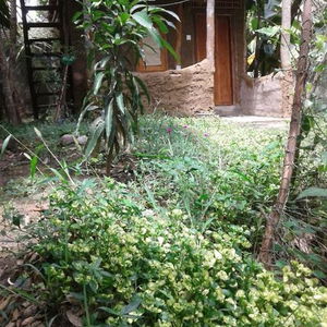 Hotel Villa Lagoon View cazare Tangalle