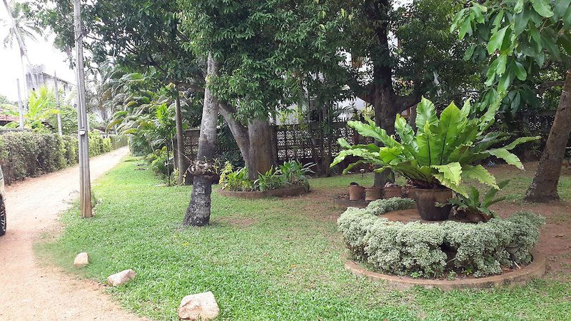 Hotel Arangala Bungalow