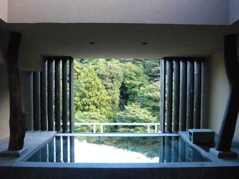 Hotel Hakone Suimeisou