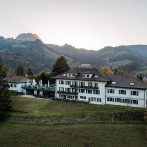 Hotel Hôtel De Gruyères cazare Gruyeres
