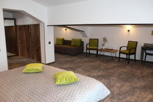 Hotel Vila Trapez cazare Brasov