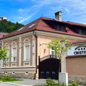 Hotel Pensiune Turistica Cristina cazare Rasnov